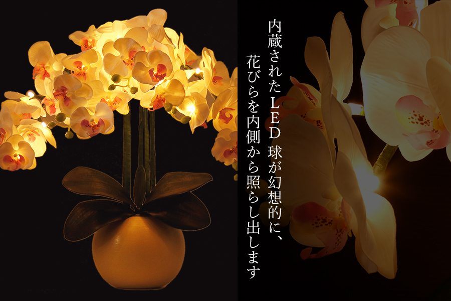 盆提灯