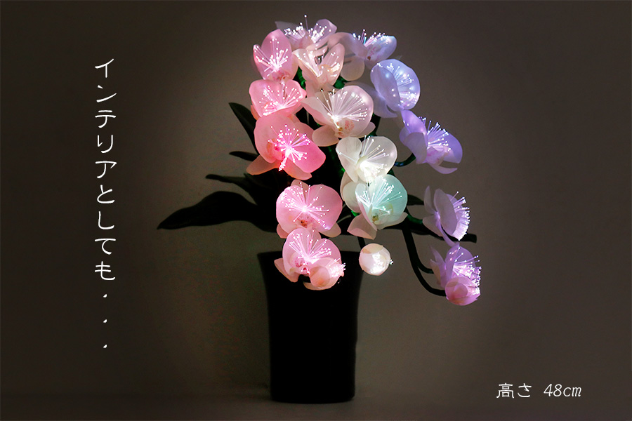 盆提灯