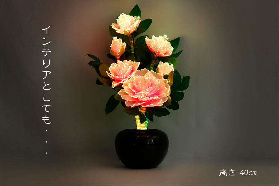 盆提灯
