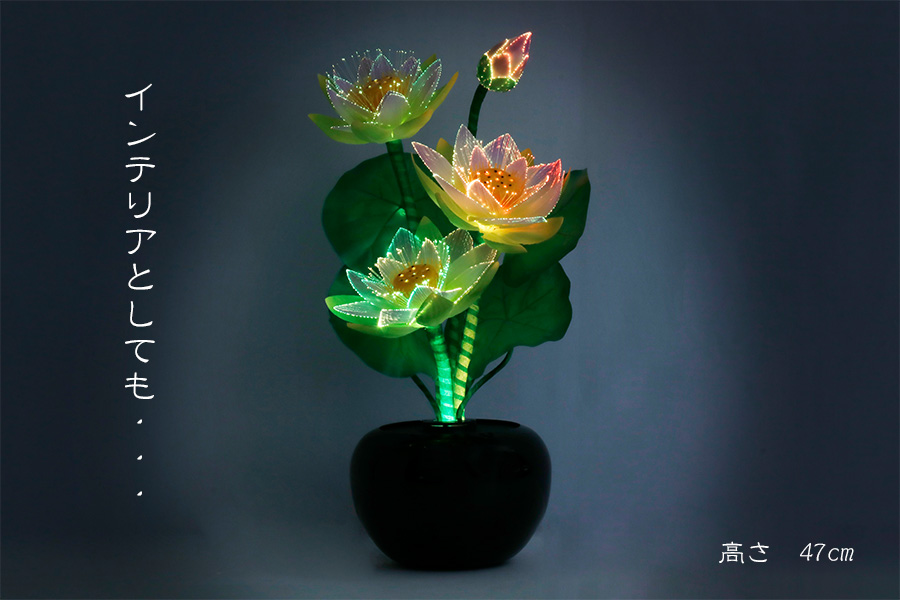 盆提灯