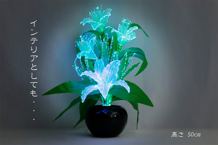 盆提灯